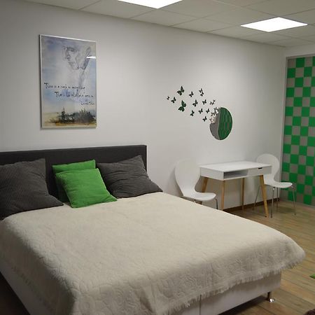 Vasarely Luxury Flat Apartment ซาตูมาเร ภายนอก รูปภาพ